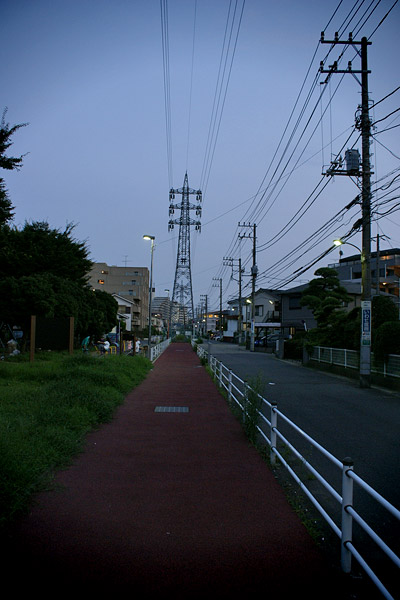 electric wire at nightfall (2006-09-06)