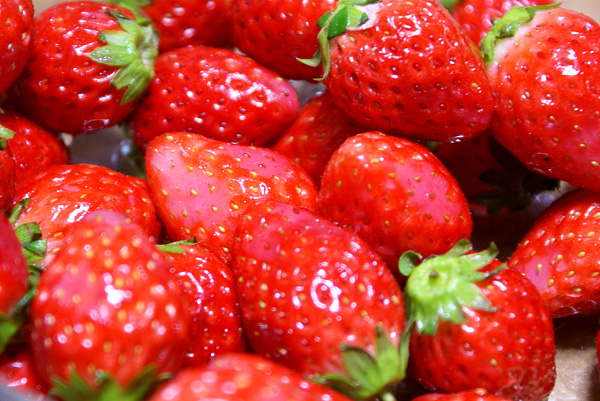 Strawberry (2007-02-01)