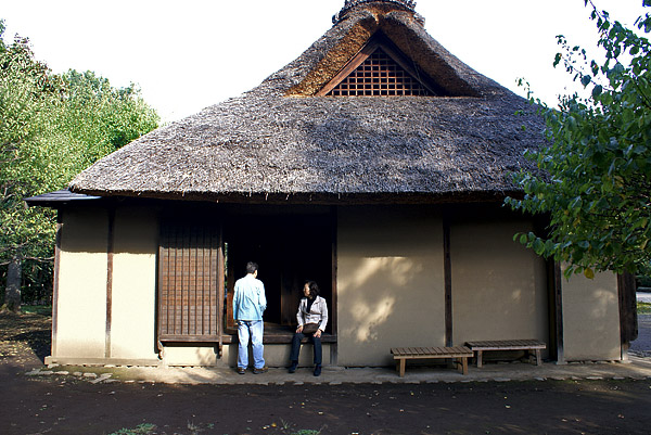 Japanese traditional roof (2008-03-21)